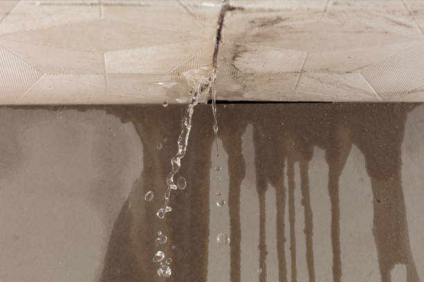Professional Burst Pipe Cleanup technician working in Ridgeville Corners, OH